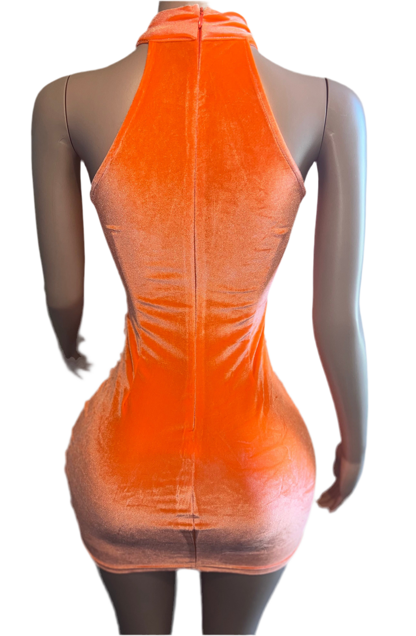 Tangerine Squeeze