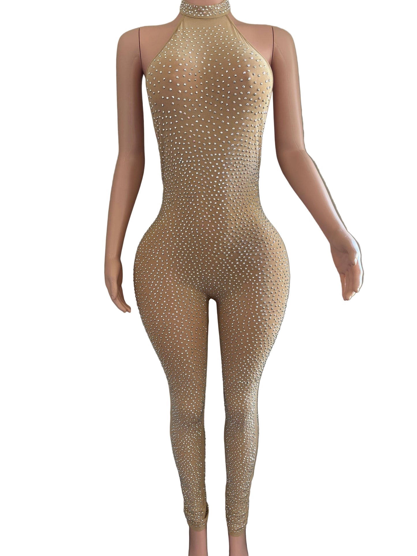 Champagne & Pleasure